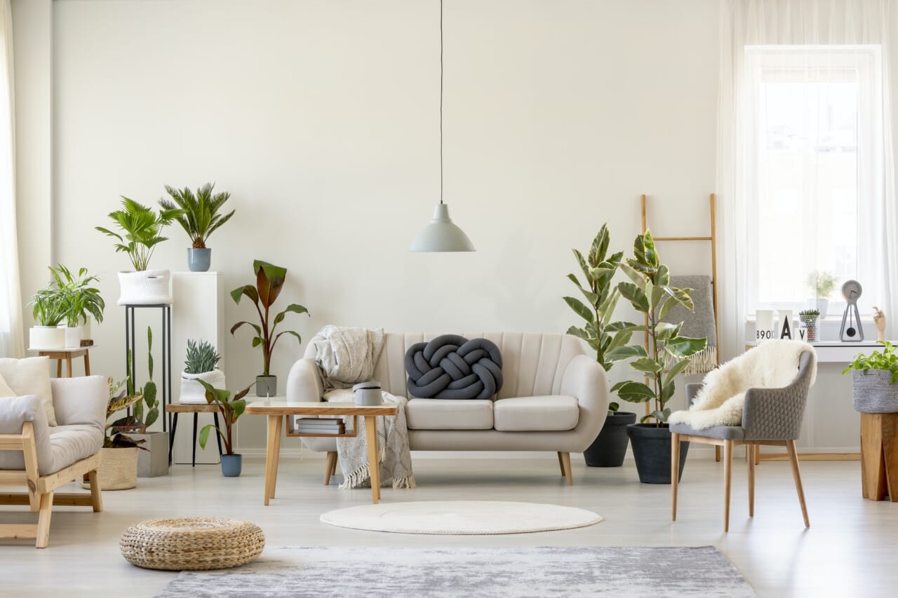 Real photo of a botanic living room interior full of plants with Real photo of a botanic living room interior full of plants with